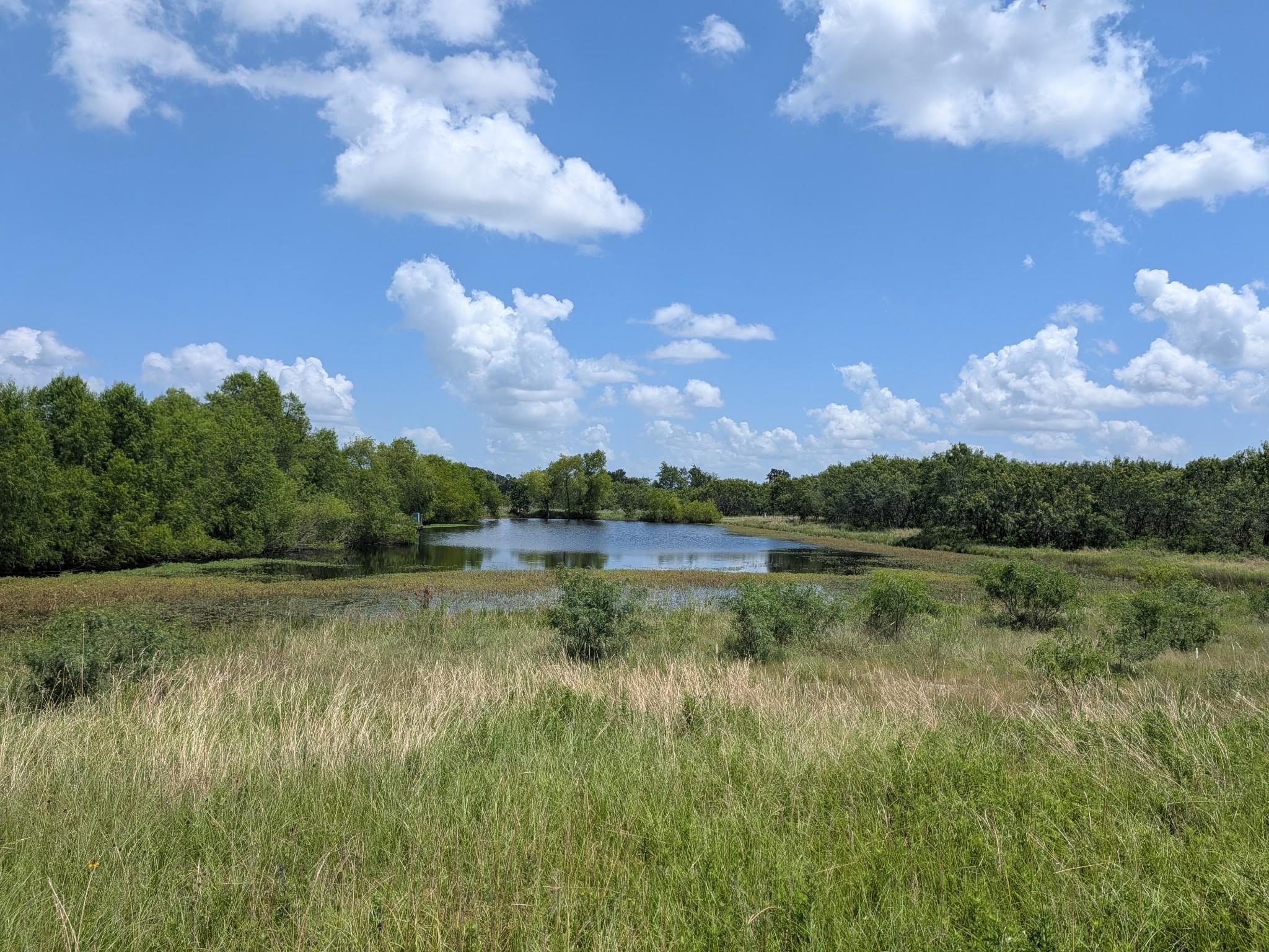 0016 County Road 115