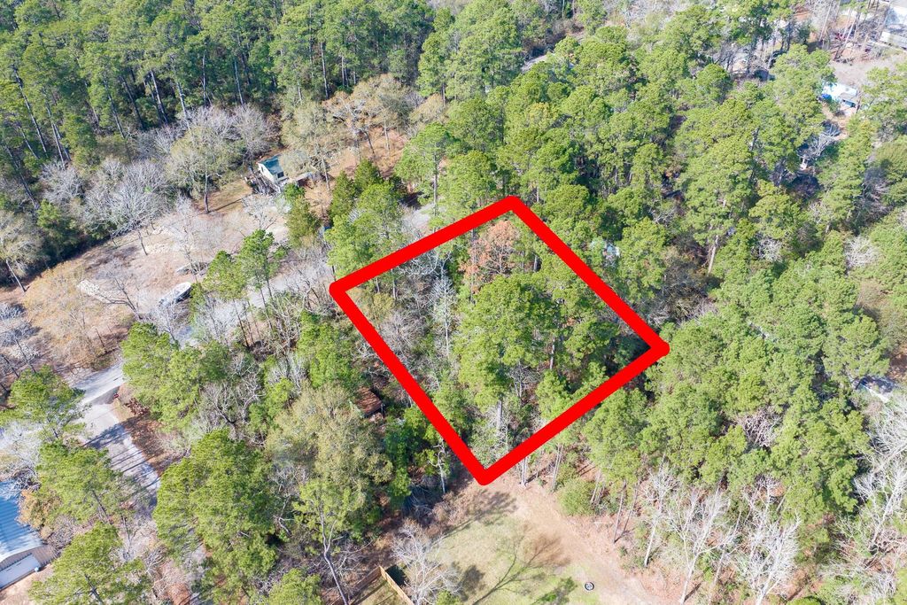 Photo of 0 Forest Drive, Montgomery, TX 77356 (MLS # 19615513)