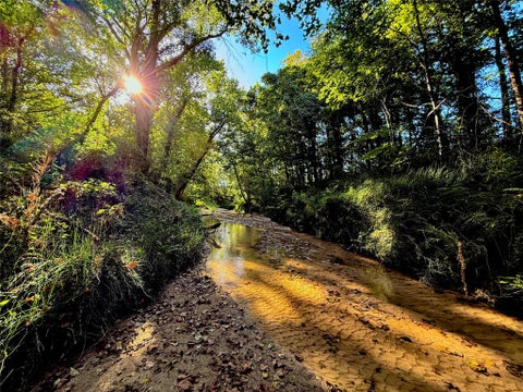 Photo of 700 County Road 4120, Woodville, TX 75979 (MLS # 51298722)
