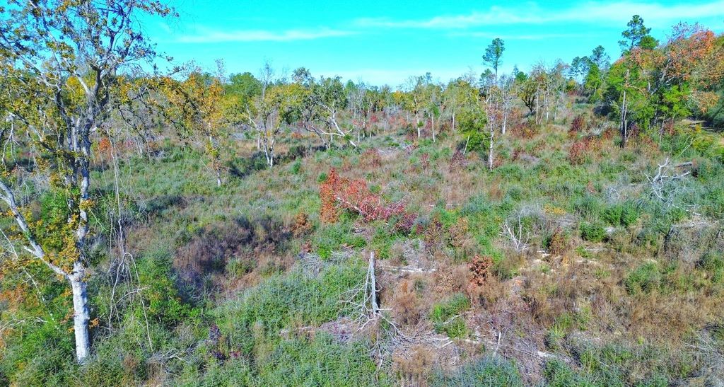 Photo of TBD Fm 2022, Grapeland, TX 75844 (MLS # 69139529)