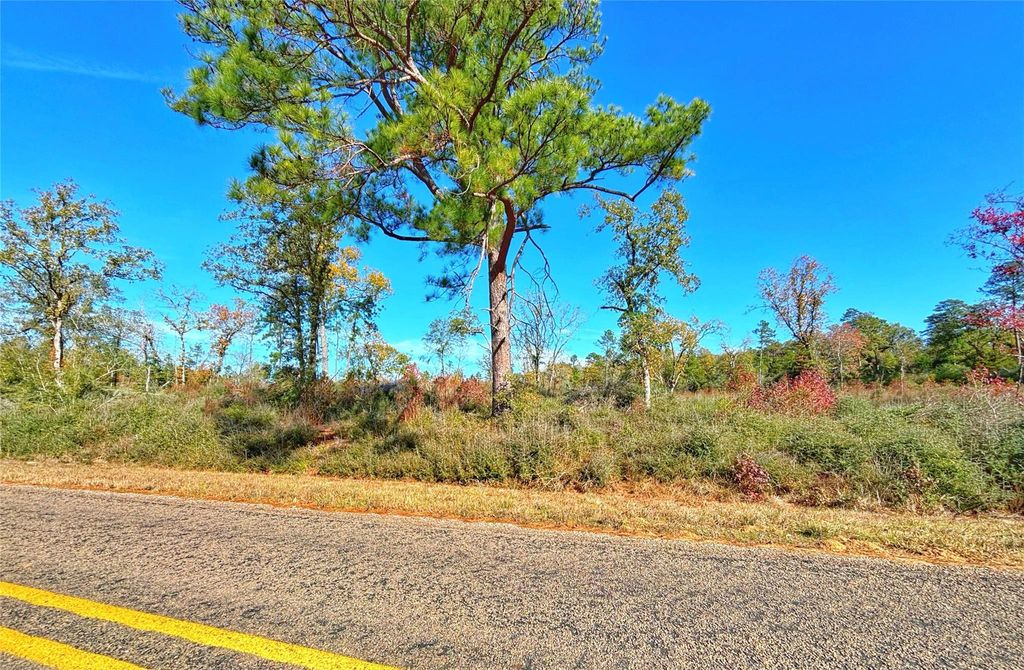 Photo of TBD Fm 2022, Grapeland, TX 75844 (MLS # 69139529)