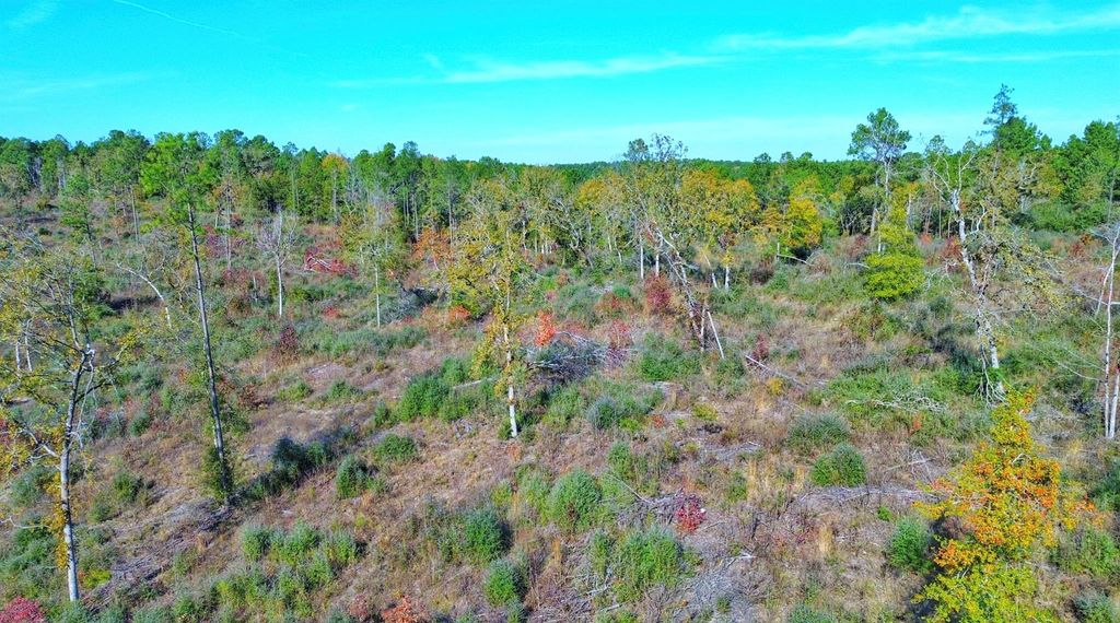Photo of TBD Fm 2022, Grapeland, TX 75844 (MLS # 69139529)