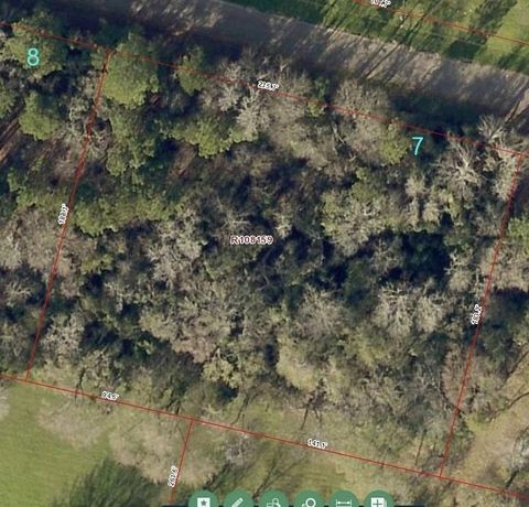 7 Dairyland Willis TX 77318