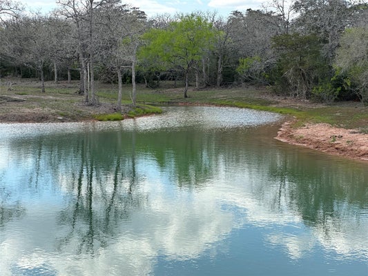 ADDRESS PRIVATE, HALLETTSVILLE, TX 77964 - Image 6e9a3c7a71c8c2e069012b0223da9794/29593270