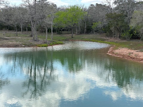 Photo of n/a County Road 134, Hallettsville, TX 77964 (MLS # 97599958)