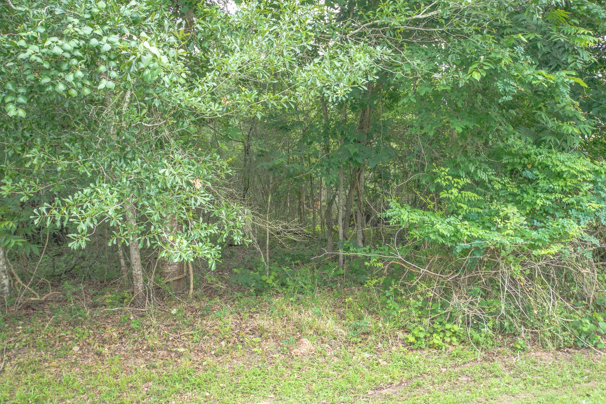 1015 W Point Drive