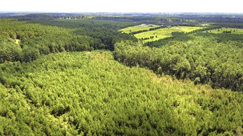 Photo of TBD Stutts, Livingston, TX 77351 (MLS # 6376299)