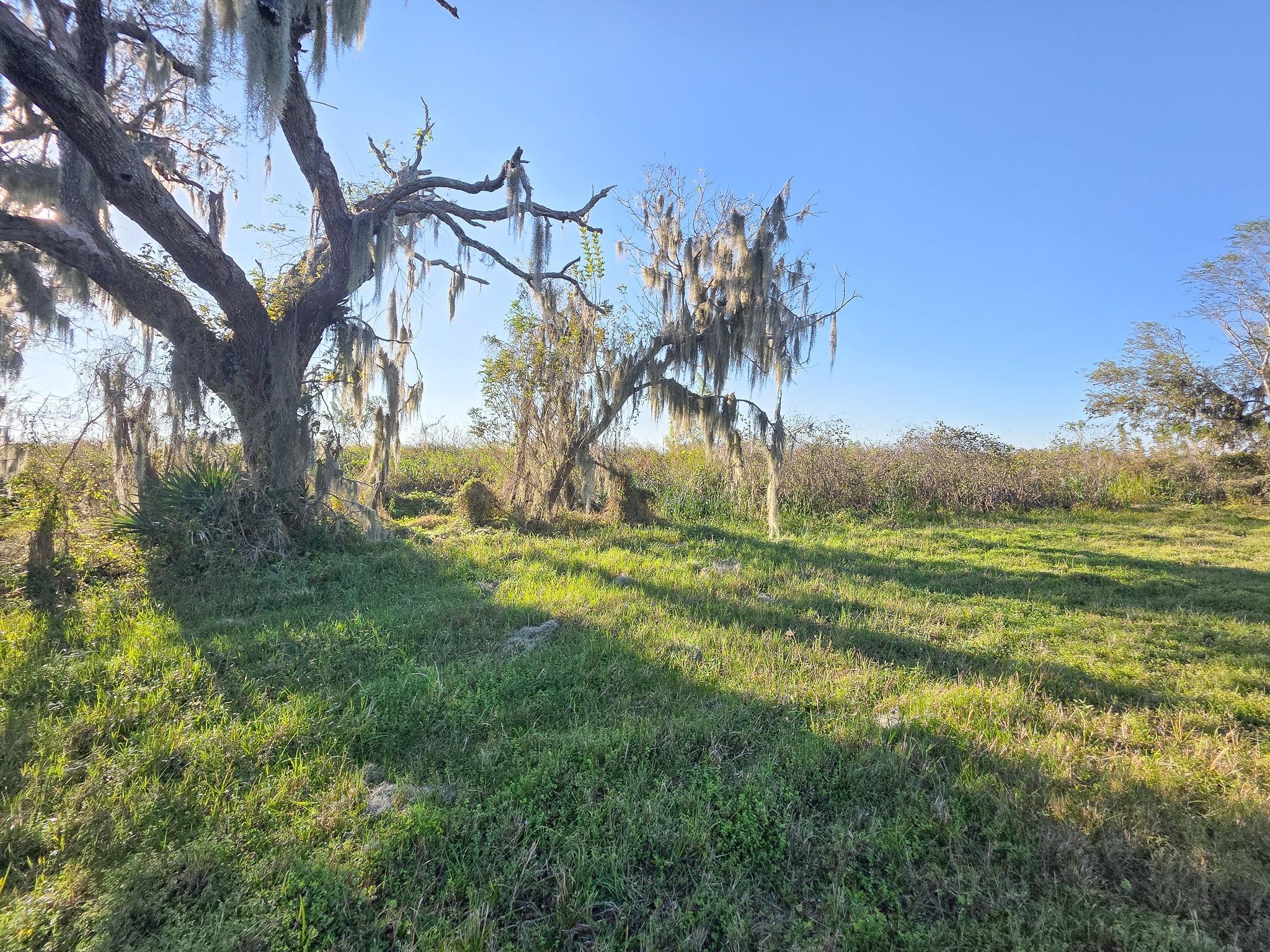 220 Pony Trail
