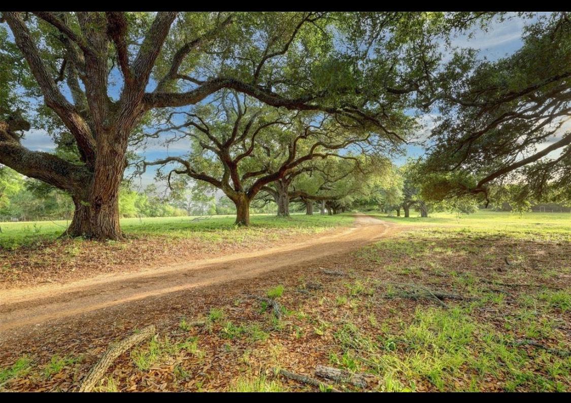 9304 Cedar Bnd Court