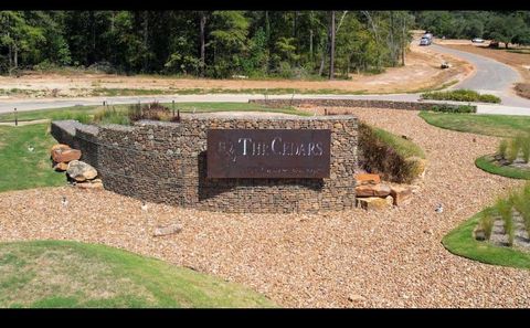 9304 Cedar Bnd Court Plantersville TX 77363