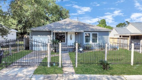 Photo of 225 N Carolina Street, Houston, TX 77029 (MLS # 34240470)