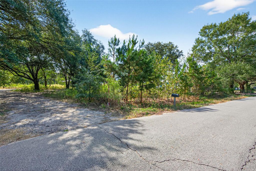 Photo of 8839 Carraway Lane Ln, Magnolia, TX 77355 (MLS # 52418411)