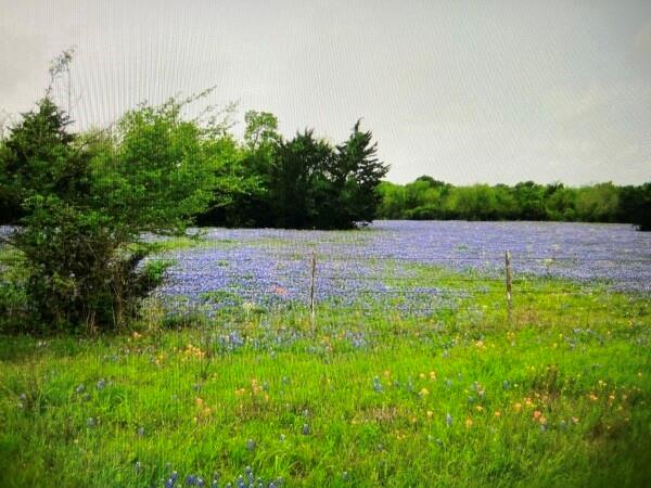 00 Tbd A0019 Fj Greenwood, Track 3 Fm 2445 Road