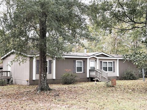 Photo of 330 Connie Street, Livingston, TX 77351 (MLS # 11622459)