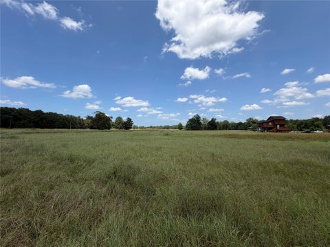 Photo of 282 Livingston Drive, Cleveland, TX 77327 (MLS # 4157820)