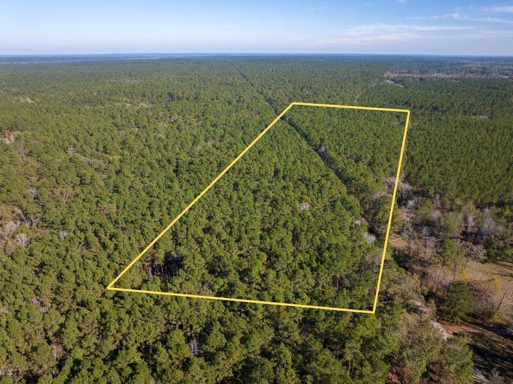 Photo of 0 Forest Service Road 527, Apple Springs, TX 75926 (MLS # 38435334)