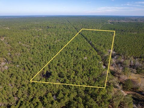 Vacant Land For Sale - 000 Forest Service Road 527<br/> Apple Springs, TX 75926