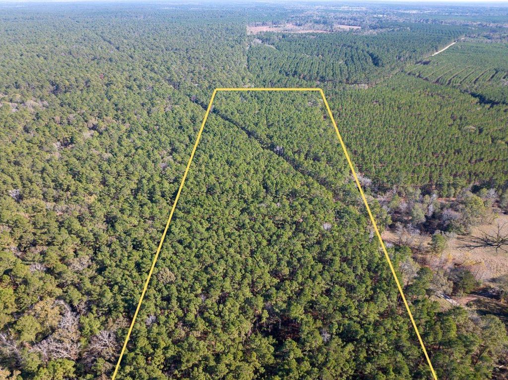 Photo of 0 Forest Service Road 527, Apple Springs, TX 75926 (MLS # 38435334)