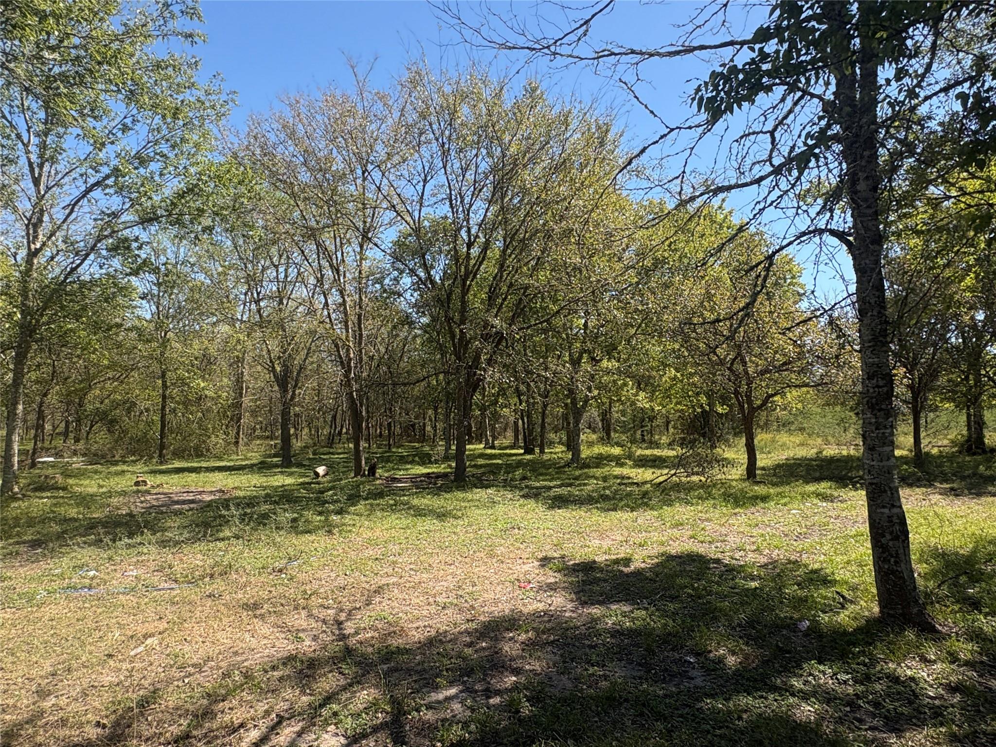 13.051 ACRES Independence Drive