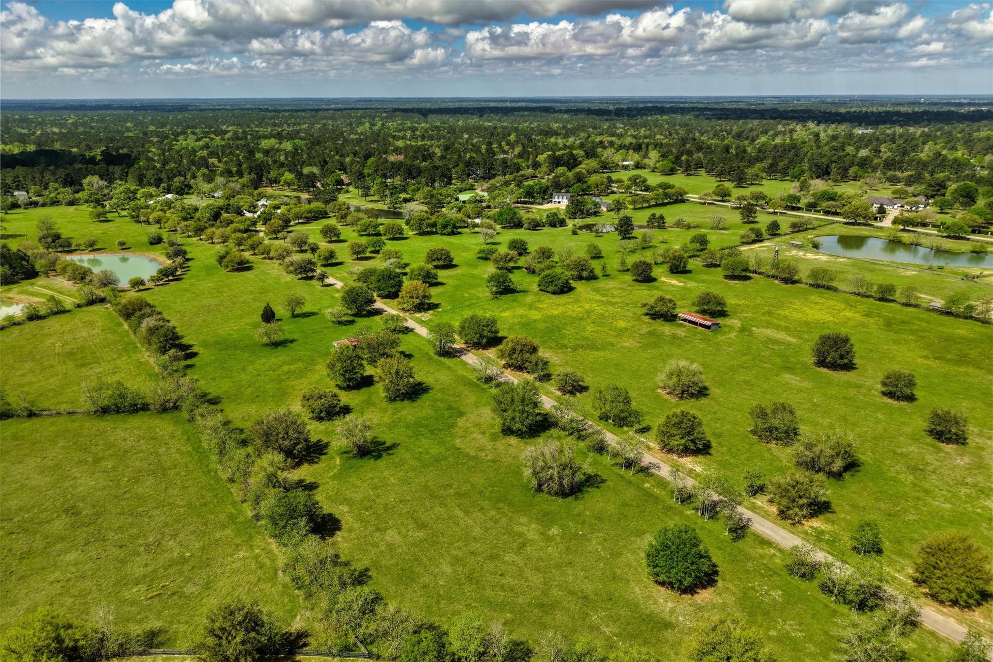 Magnolia, Texas, 77355, United States, 4 Bedrooms Bedrooms, ,4 BathroomsBathrooms,Residential,Active,2041460