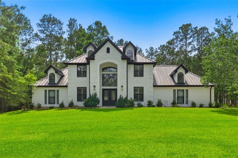 Photo of 36913 Sulphur Branch Bend, Magnolia, TX 77355 (MLS # 75126388)