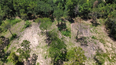 Photo of TBD County Road 201 Loop, Plantersville, TX 77363 (MLS # 64213700)