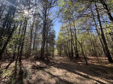 Vacant Land For Sale - TBD County Road 3930<br/> Tyler County, Colmesneil, TX 75938
