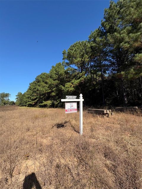 Vacant Land For Sale - County Road 113<br/> Jasper, TX 75951