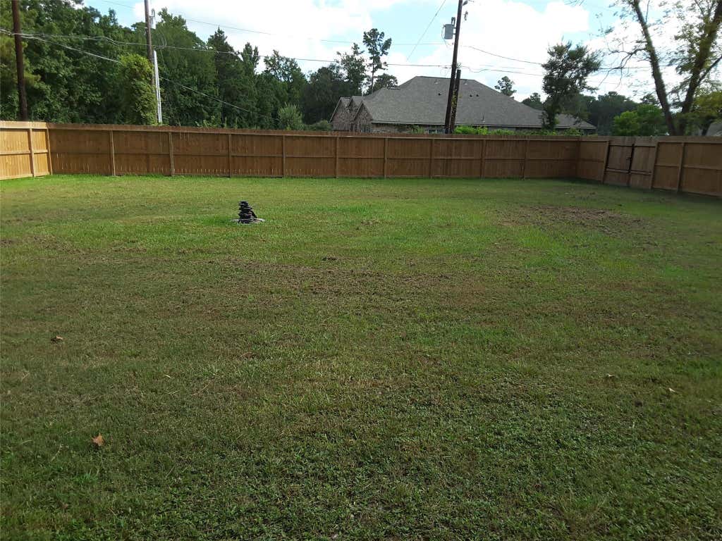 Photo of 18521 Railroad Avenue, New Caney, TX 77357 (MLS # 10750212)