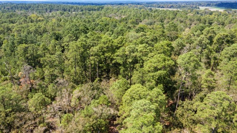 Photo of 8 Tejas Street, Huntsville, TX 77320 (MLS # 89803419)
