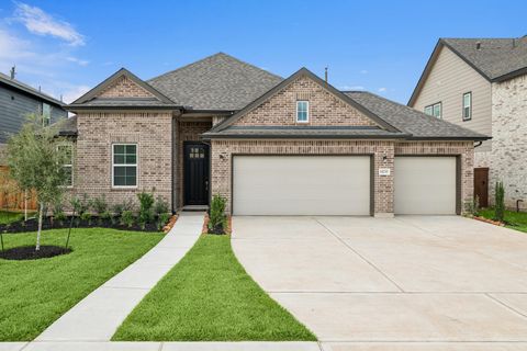 Photo of 14230 Hay Meadow Lane, Needville, TX 77461 (MLS # 58653161)