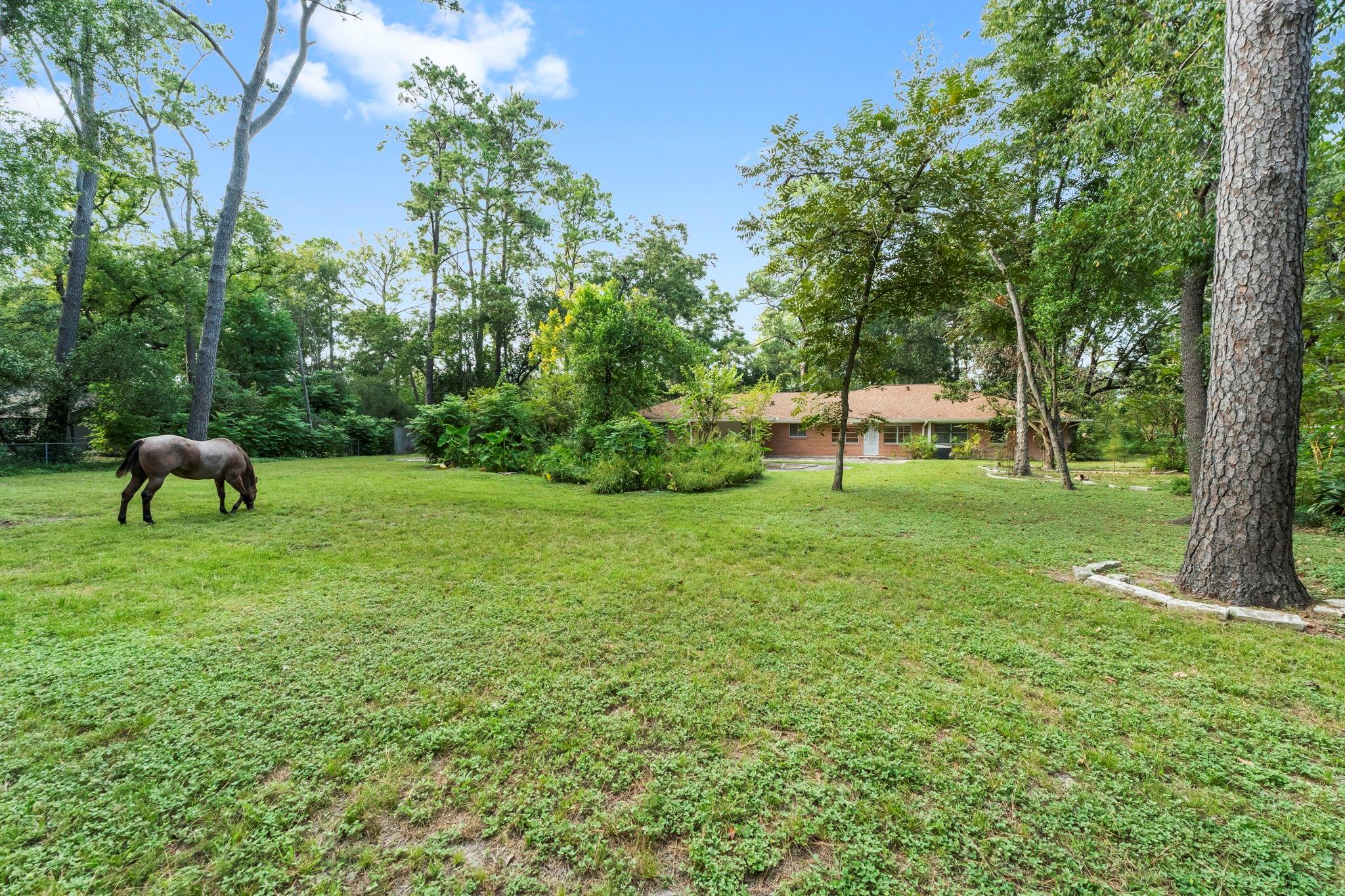 9821 Shadow Wood Drive