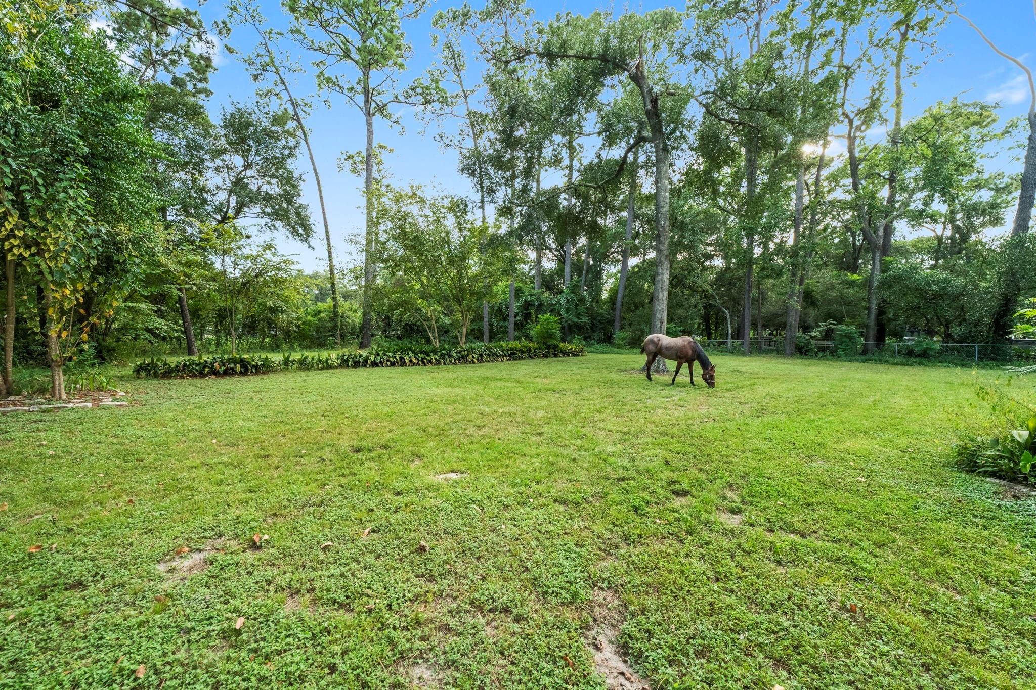 9821 Shadow Wood Drive