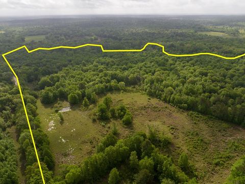 Photo of 0 Fodice Road, Crockett, TX 75835 (MLS # 96511603)