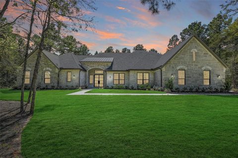 25123 Chisos Bend Montgomery TX 77316