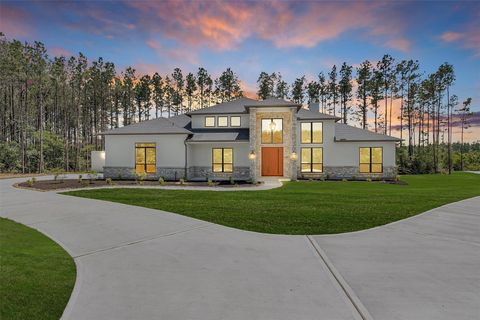 16081 Forest Mill Road Willis TX 77378
