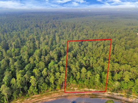 15365 Red Hawk Road Willis TX 77378