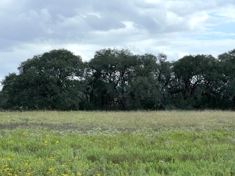 Photo of 4 Dancing Deer, Altair, TX 77412 (MLS # 96755953)