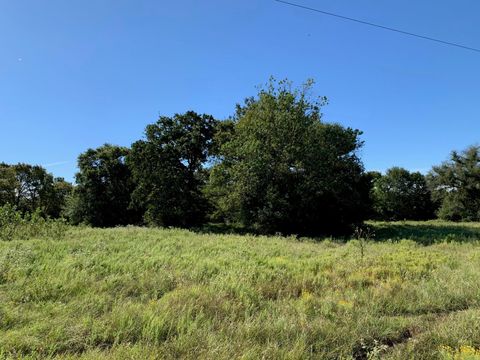 Photo of 133 Hwy 39, Normangee, TX 77871 (MLS # 40954031)