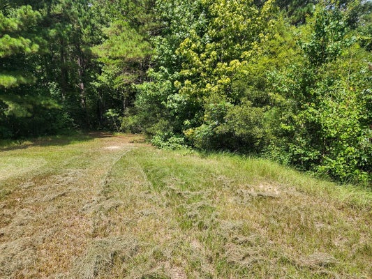 216 PRIVATE ROAD 6046, BURKEVILLE, TX 75932 - Image 70ca9e9098827c73f23218bc2dce2f48/575643736