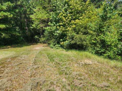 Photo of 216 Private Road 6046, Burkeville, TX 75932 (MLS # 44572851)