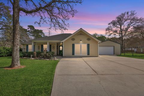 Photo of 136 Fantail Street, Magnolia, TX 77355 (MLS # 53788703)
