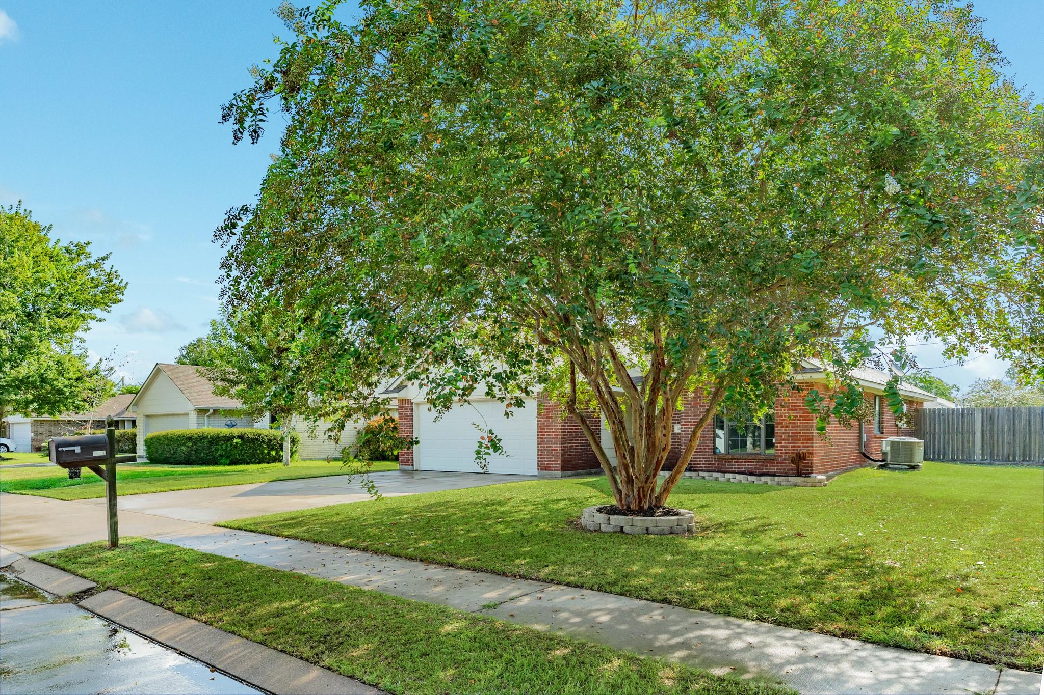 1164 Thomas Drive