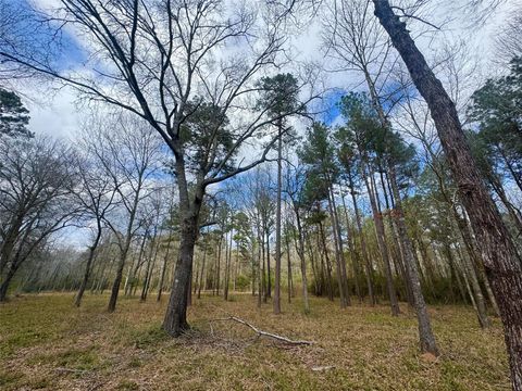 Photo of 178 Stagecoach Circle, Huntsville, TX 77340 (MLS # 39318546)