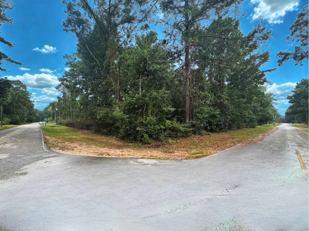 Photo of 343 Wild Oak Drive, Huffman, TX 77336 (MLS # 67497382)
