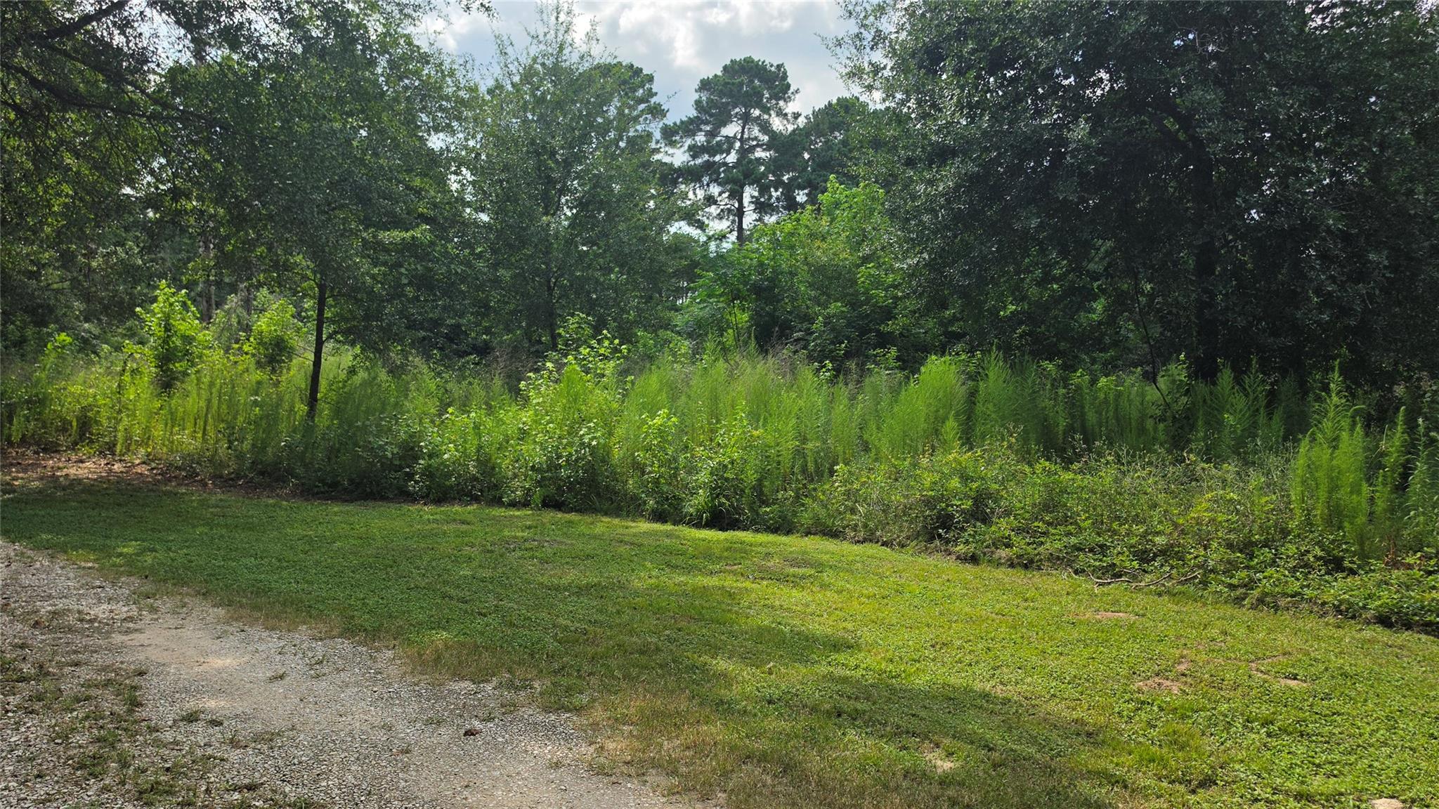 22414 Mueschke Road