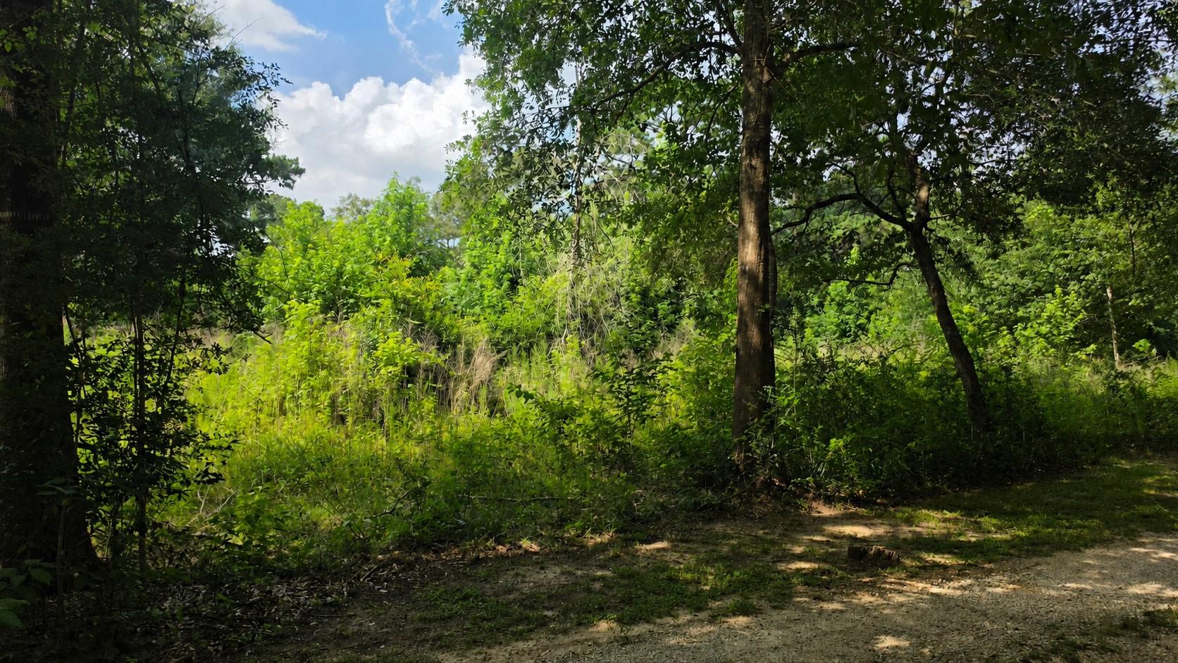 22414 Mueschke Road