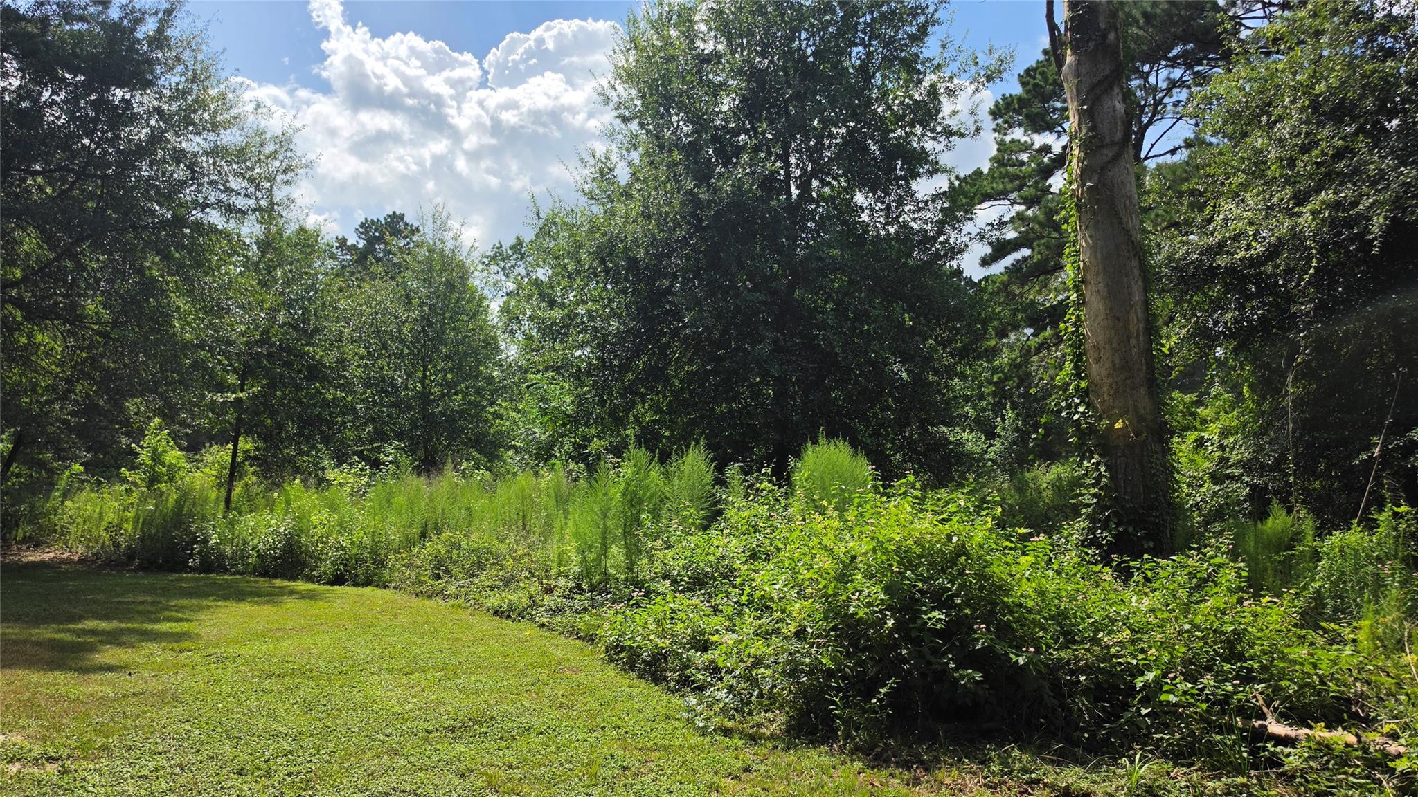 22414 Mueschke Road
