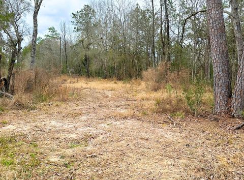 Vacant Land For Sale - 12280 Pelt Rd<br/> Hardin County, Kountze, TX 77625