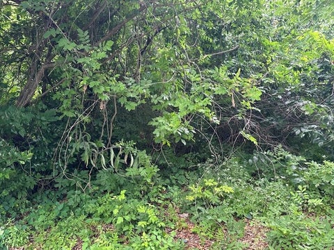 Vacant Land For Sale - 303 S Carter Street<br/> Marshall, TX 75670